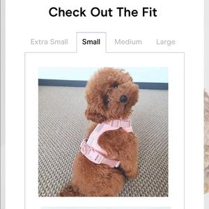 Wild One dog harness